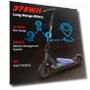 Thumbnail Electric Scooter — Electric Self-Balancing Scooters, WERHY
