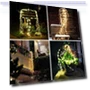 Thumbnail LED Firefly Bunch Lights — Garden Illumination