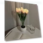 LED Night Light with Touch Control — Night Lights, Kitchen artifact