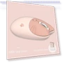 Bluetooth + 2.4G Wireless Mouse — Computer Mice, Bellatrix