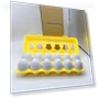 Smart Puzzle Egg — Infant & Early Childhood Playthings, WoW Area