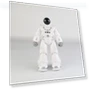 Space Robot with Remote Control — Interactive Figures & Robots, iPlay