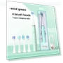 Electric Sonic Toothbrush for Adults and Couples — Chargers, Binchi Health Technology