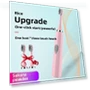 Electric Toothbrush — Electric Toothbrush Heads, Binchi Health Technology