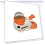 Automatic Pet Feeder — Feeders, Fujeenn