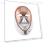 LED Facial Beauty Device — Facial Steamers, Binchi Health Technology