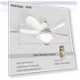 Silent Motorized Ceiling Fan with Remote Control — Ceiling Fans, new boy 01