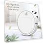 Mini Electric Sweeping Machine — Sweepers, Dongfang HOME A