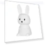 Cute Silicone Night Light with Rabbit, Whale, and Cat — Night Lights, DC-Home-2