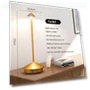 Rechargeable Table Lamp — Desk & Table Lighting, Vinde Home