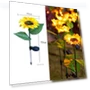 Solar Sunflower Street Lamp — Garden Illumination, LIUXING Fire Solar Lamp