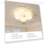 Modern LED Ceiling Light — Overhead Lighting, AE Selection