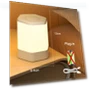 LED Night Light with Type-C Charging — Night Lights, Wrigleys