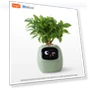 Smart Life Planter — Space-Saving Planters, AE Selection