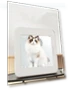 Smart Pet Dryer — Vents, Rainbow Rain