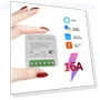 Smart Switch 2 Way Control — Smart Home Modules, Tuya