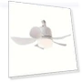 Modern Ceiling Fan Light — Ceiling Fan Lighting Solutions, Luminaire Lighting Mall