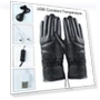 USB Heated Plush Gloves — Gloves, Ibaraki 025