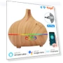 WiFi Air Humidifier with Essential Oil Diffuser — Diffusers, Super Dream Home