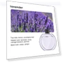 Aromatherapy Essential Oil Diffuser — Diffusers, Vinde Home