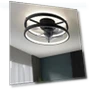 Smart Ceiling Fan with Light — Ceiling Fans, Seahorse Home