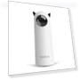 Automatic Cat Toys — Cat Playthings, NATAWA