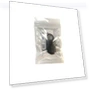 Mini GPS Tracker Bluetooth 5.0 — Location Tracking Devices, Home Of Auto Parts