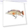 Robotic Swimming Lures — Artificial Bait, Auto Home Solutions