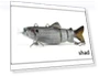 Intelligent Automatic Swimming Lure — Artificial Bait, 16Double8