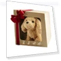 Plush Robot Puppy Toy — Interactive, Exquiste life