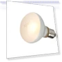 Heating Lamp for Reptiles — Heat Lamps, APlusVigor