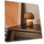 LED Night Light with Touch Switch — Night Lights, Your Warm Home