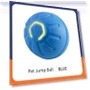 Smart Rolling Ball Toy for Pets — Interactive Animal Companions, YJMP