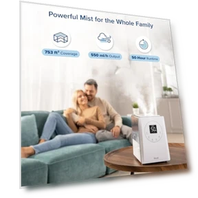 Smart Warm and Cool Mist Humidifier for Home, 6L Capacity, 753ft² Coverage — Air Moisturizers, LEVOIT