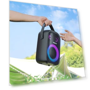 Portable Wireless Bluetooth Speaker with Subwoofer — Portable Sound Systems, Tronsmart