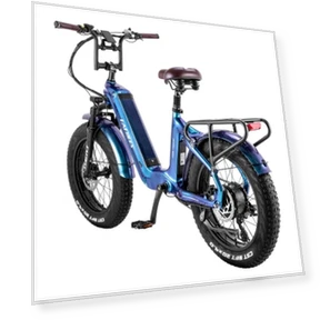 Electric Bike — Electric Self-Balancing Scooters, Fafrees