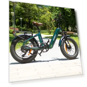 Master Electric Bike — Electric Self-Balancing Scooters, Fafrees