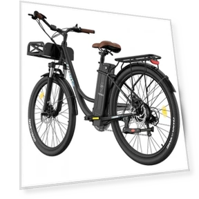 Lasting Electric Bike — Electric Self-Balancing Scooters, Fafrees