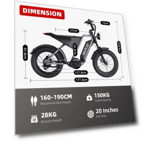 Electric Mountain Bike — Motors, GUNAI