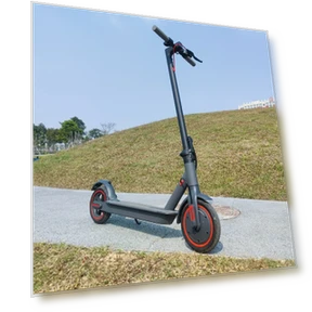 Electric Scooter — Electric Self-Balancing Scooters