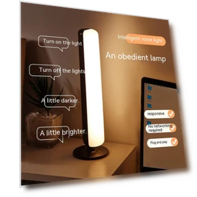 Voice Control Lamp — Standing Lights