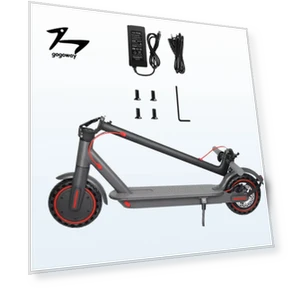 Electric Scooter — Electric Self-Balancing Scooters, Gogoway