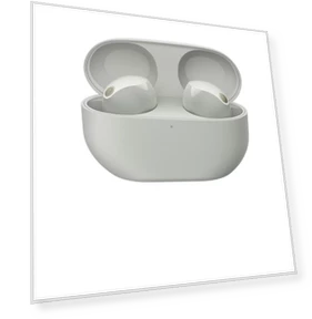 Noise-Canceling True Wireless In-Ear Headphones — Audio Gear, Sony