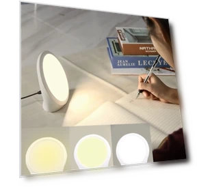 Emotional Physical Therapy Lamp — Light Therapy Solutions, JSK