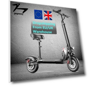 Foldable Electric Scooter — Electric Self-Balancing Scooters, Gogoway