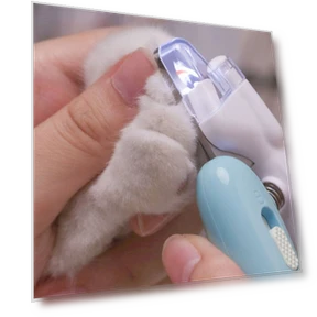 Pet Nail Clippers with LED Lighting — Claw Care