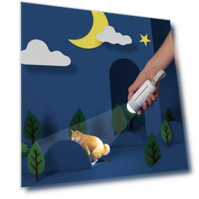 Portable Dog Toilet Bowl with LED Lighting — Purses