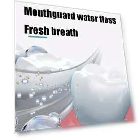 Electric Dental Rinser — Power Flossers