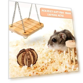Hamster Seesaw Climbing Ladder Gnawing Teeth String Wooden Set Toy — Toys
