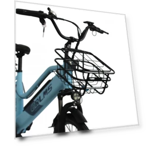 Electric Bike City 26 — Electric Self-Balancing Scooters, Orlms